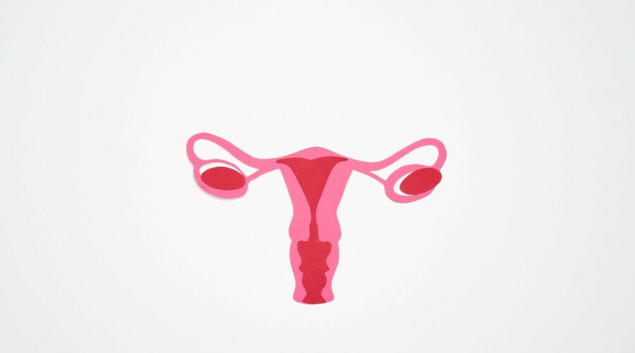 दमौली अस्पतालमा पाठेघर फाल्ने शल्यक्रिया सुरु