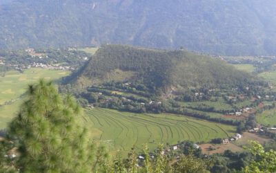 प्रजातन्त्रका उपलब्धिमाथि प्रश्न उठाउनु ‘फेसन’ भएको उपप्रधानमन्त्री सिंहको टिप्पणी