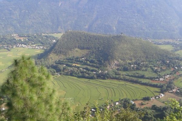 प्रजातन्त्रका उपलब्धिमाथि प्रश्न उठाउनु ‘फेसन’ भएको उपप्रधानमन्त्री सिंहको टिप्पणी