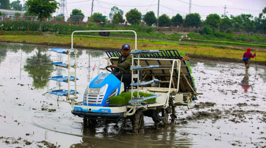 खुमलटारमा २३औँ राष्ट्रिय धान दिवस तथा रोपाइँ महोत्सव सम्पन्न
