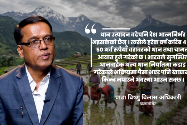 धान उत्पादन बढे पनि आत्मनिर्भरता अझै टाढा छ : विज्ञ प्राडा विष्णु विलास अधिकारी