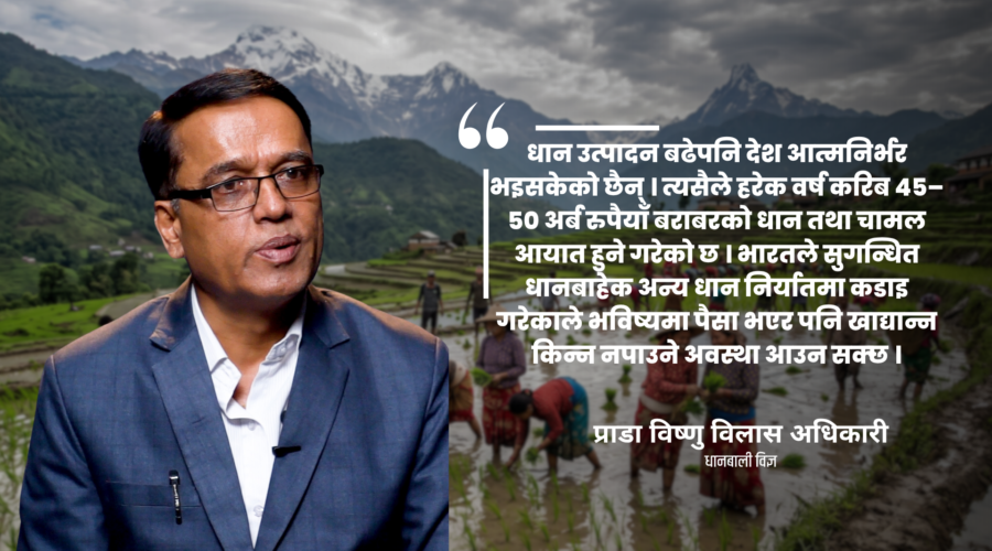 धान उत्पादन बढे पनि आत्मनिर्भरता अझै टाढा छ : विज्ञ प्राडा विष्णु विलास अधिकारी