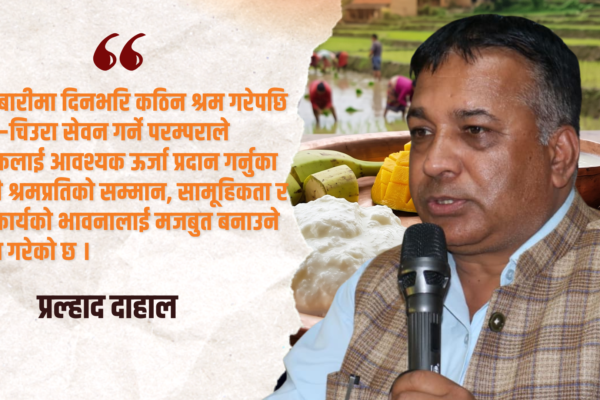 दही–चिउरा र मोही : नेपाली कृषि संस्कृति, पोषण र स्वदेशी अर्थतन्त्रको मजबुत आधार