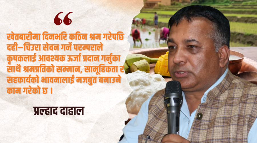 दही–चिउरा र मोही : नेपाली कृषि संस्कृति, पोषण र स्वदेशी अर्थतन्त्रको मजबुत आधार