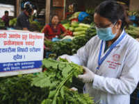 भक्तपुरको रायोको सागमा उच्च विषादी फेला, नष्ट गर्न निर्देशन