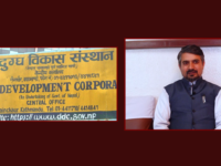 बालेनले याक चिज खाएपछि डीडीसीको बिक्री दोब्बर, अब आक्रामक ब्रान्डिङको तयारी