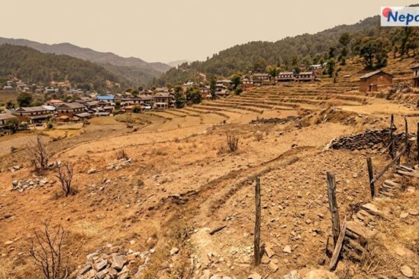 देशभरका स्थानीय तहमा भूमि बैंक सञ्चालन हुँदै, बाँझो जमिन उत्पादनमा आउने