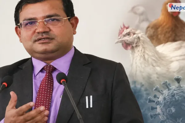 ११ जिल्लामा बर्डफ्लू पुष्टि : आत्तिनु नपर्ने, तर जैविक सुरक्षामा ध्यान दिन पशु सेवा विभागको आग्रह