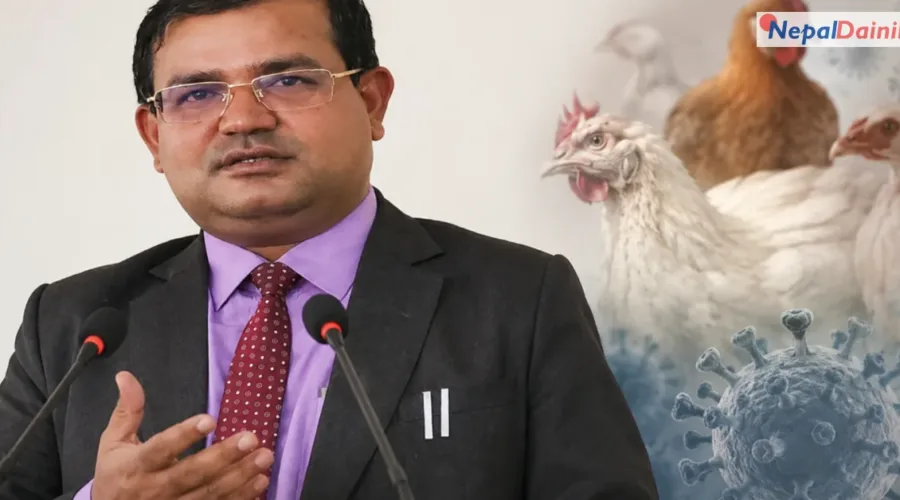 ११ जिल्लामा बर्डफ्लू पुष्टि : आत्तिनु नपर्ने, तर जैविक सुरक्षामा ध्यान दिन पशु सेवा विभागको आग्रह
