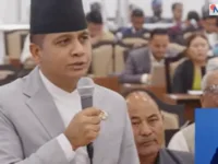 बझाङमा चट्याङले सयौं भेडा मारे, ३०–४० लाखको क्षति; एमाले सचेतकले गरे राहतको माग