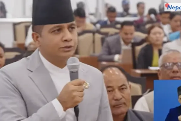 बझाङमा चट्याङले सयौं भेडा मारे, ३०–४० लाखको क्षति; एमाले सचेतकले गरे राहतको माग