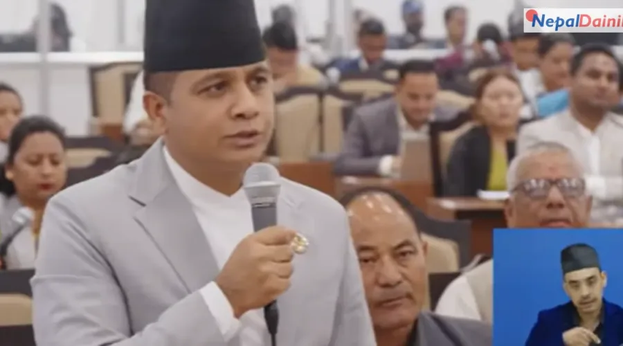 बझाङमा चट्याङले सयौं भेडा मारे, ३०–४० लाखको क्षति; एमाले सचेतकले गरे राहतको माग