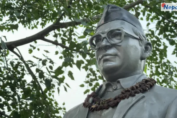 दासढुंगामा मदन भण्डारी पार्क निर्माण अन्तिम चरणमा, ४१ लाखको लागतमा बन्यो स्मृति संरचना