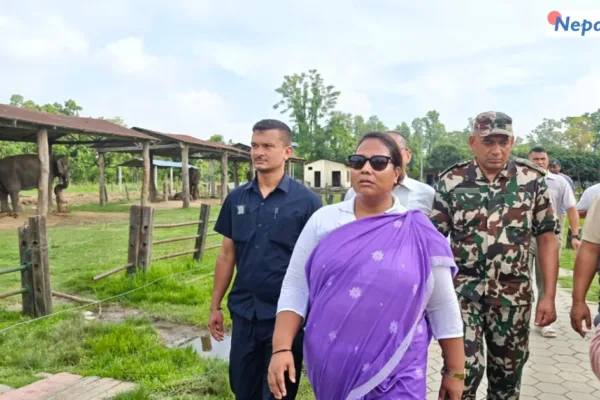 मन्त्री चौधरीद्वारा हात्ती प्रजनन केन्द्रको निरीक्षण, ‘एलिफेन्ट सेन्चुरी’ बनाउने योजना