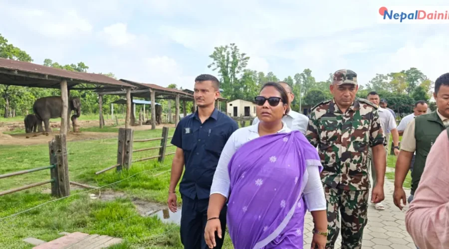 मन्त्री चौधरीद्वारा हात्ती प्रजनन केन्द्रको निरीक्षण, ‘एलिफेन्ट सेन्चुरी’ बनाउने योजना