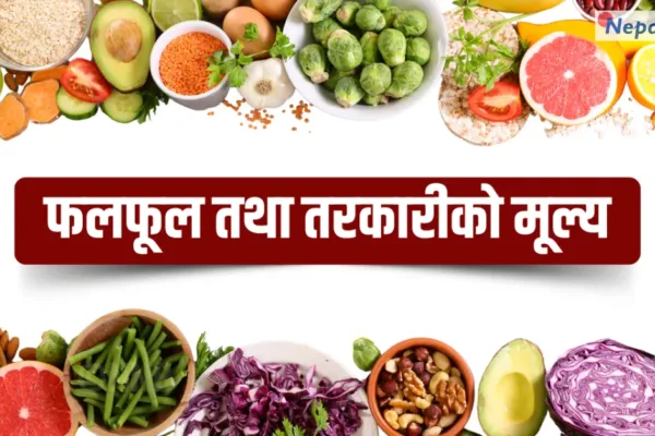 काठमाडौं: आजको तरकारी र फलफूलको न्यूनतम थोक मूल्य यस्तो छ