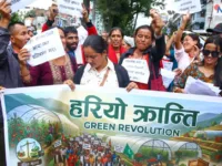 उचित मूल्य नपाएपछि किसानले सडकमै गोलभेँडा फालेर विरोध गरे