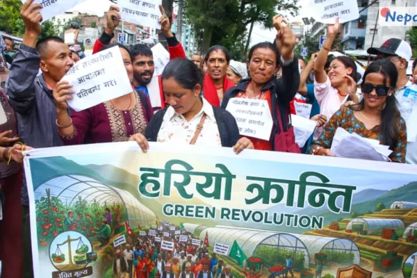 उचित मूल्य नपाएपछि किसानले सडकमै गोलभेँडा फालेर विरोध गरे