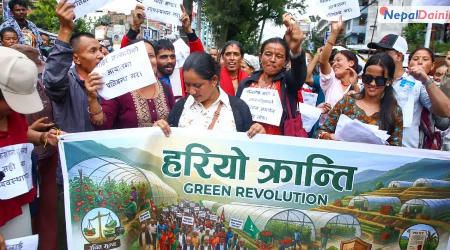 उचित मूल्य नपाएपछि किसानले सडकमै गोलभेँडा फालेर विरोध गरे