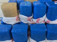 सर्लाहीमा ३३० किलो गाँजासहित एक जना पक्राउ, पिकअप गाडी पनि जफत