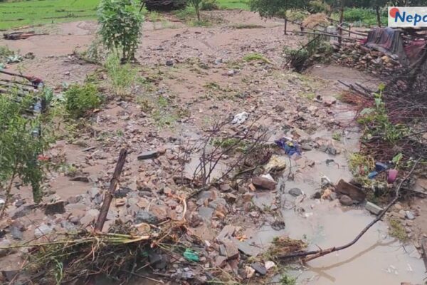 जुम्लाको सिंजामा भारी वर्षाले कृषिबाली र भौतिक संरचनामा ठूलो क्षति