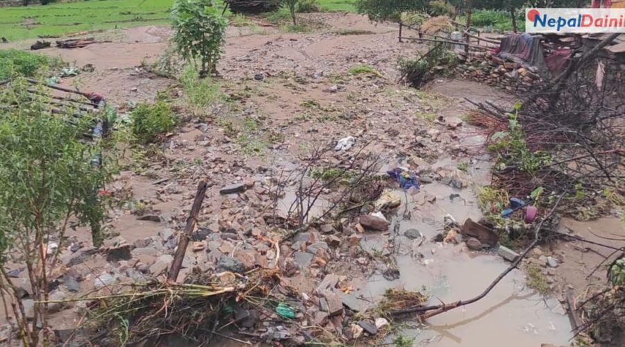 जुम्लाको सिंजामा भारी वर्षाले कृषिबाली र भौतिक संरचनामा ठूलो क्षति
