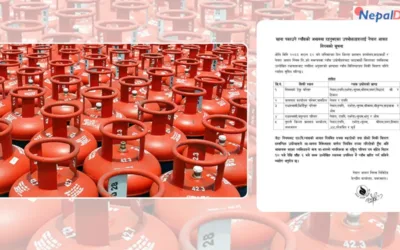 काठमाडौंमा शनिबार ग्यास बिक्री